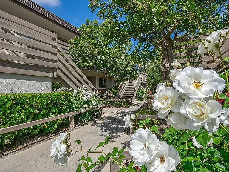West Palm Apartments — Photo 44