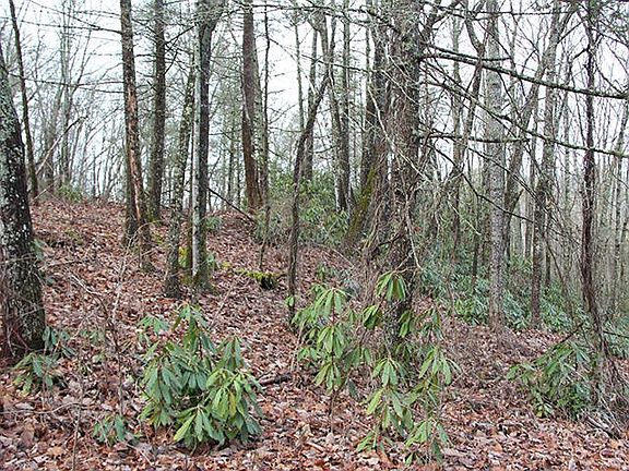 3rd image of 0 Little Round Top Ln Lot 10