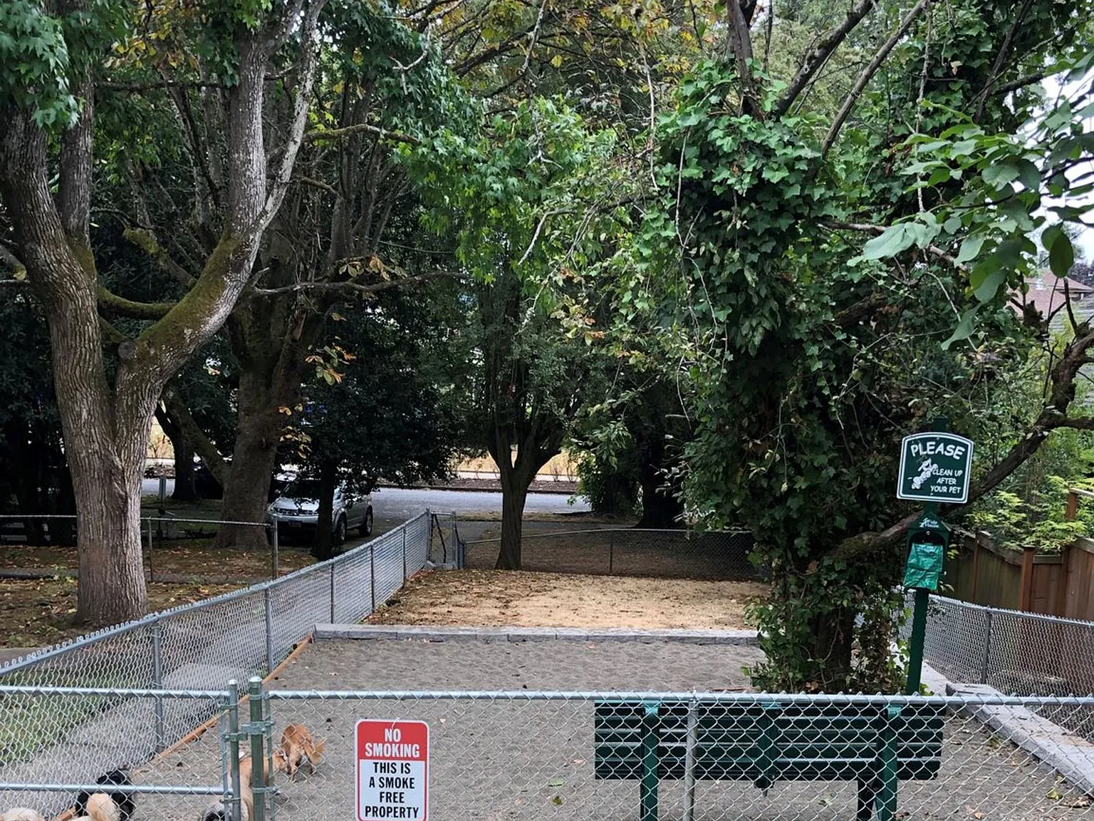 Sandycrest Terrace Apartments — Photo 4