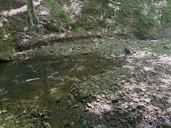 5th image of 1 Bbq Rd