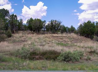 686 Mount Capitan Rd, Capitan, NM 88316