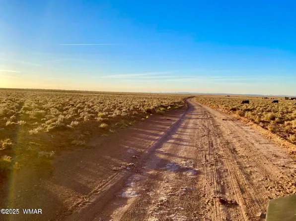 Hodges Ln, Holbrook, AZ 86025