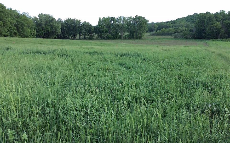 1st image of 15810 Pine Trl