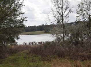 34330 Dowling Lake Rd, Dade City, FL 33523