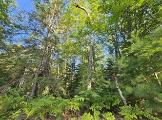 14568 Shoreline Dr, Wolverine, MI 49799