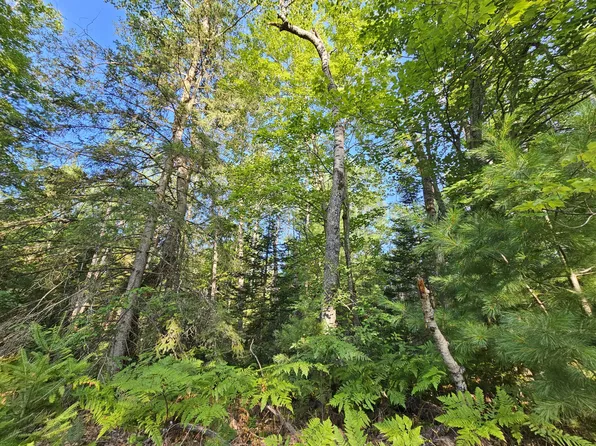 14568 Shoreline Dr, Wolverine, MI 49799
