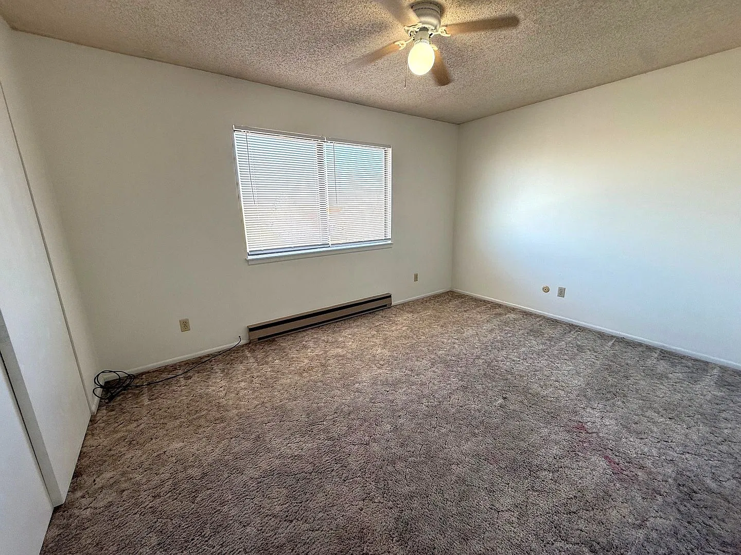 1124 S. Walnut — Photo 4