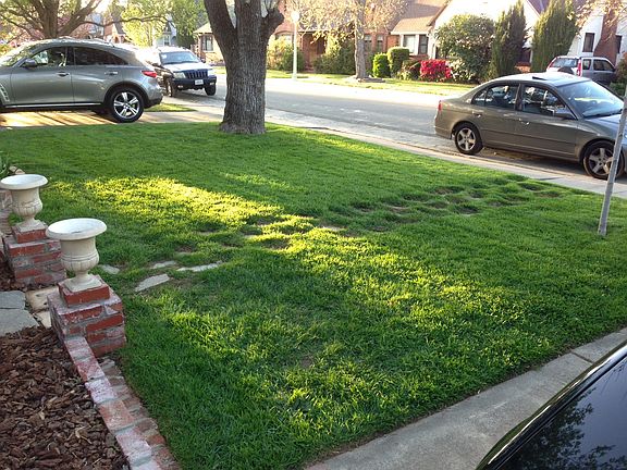 Front Yard