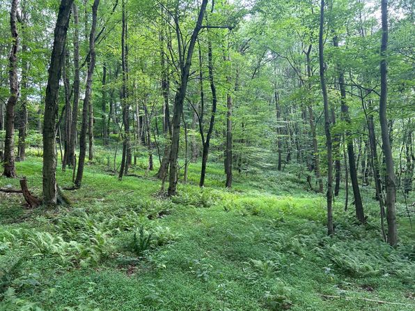 0 Williams Rd, Leechburg, PA 15656