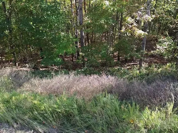 158 Whistle Valley Rd, New Tazewell, TN 37825