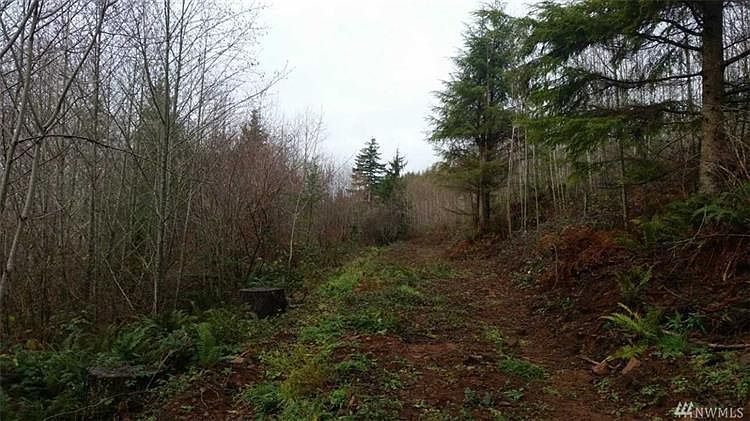 2nd image of 0 McCleary Rd