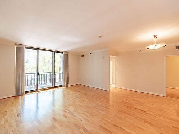 5th image of 55 W Delaware Pl #208-P052