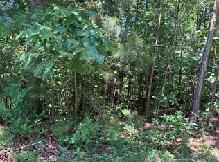 189 Hopewell Dr LOT 20, Ranger, GA 30734