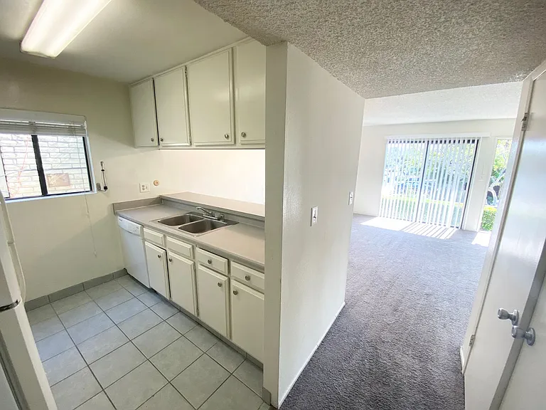 33941 Violet Lantern St #B — Photo 2