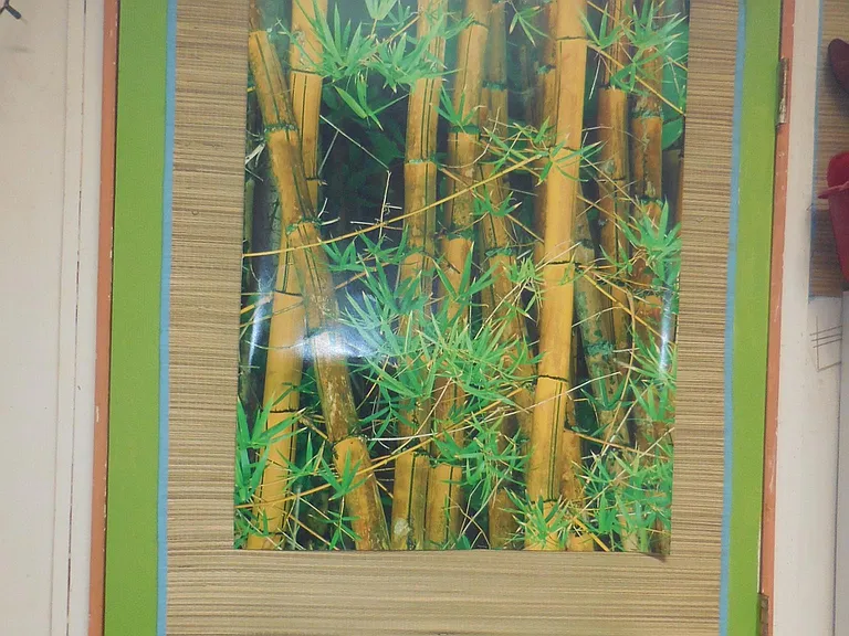 Green (2nd Door), to access your 2nd "Lanai" spot or Exit out).