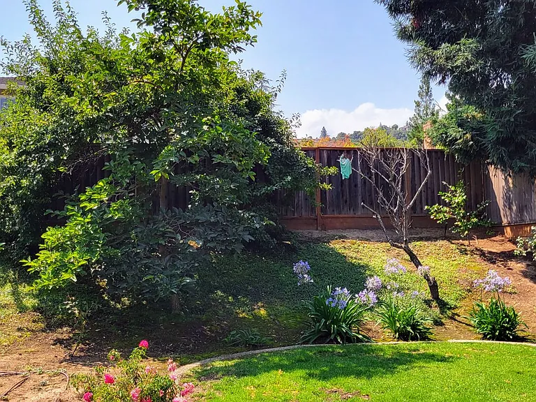 21940 Rucker Dr — Photo 18