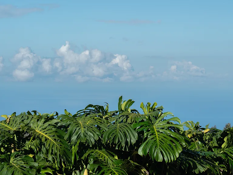 Kula Hwy — Photo 25