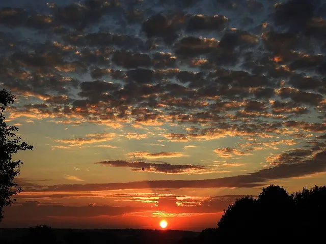 Saddlebrook Apartments Sunset Over Nature Preserve