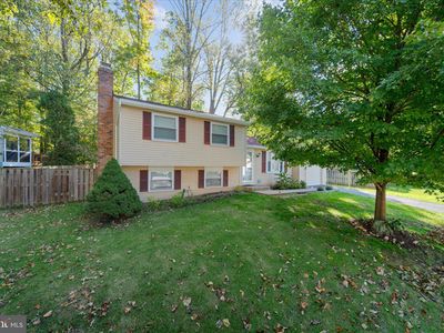 9111 Wax Myrtle Ct, Burke, VA, 22015
