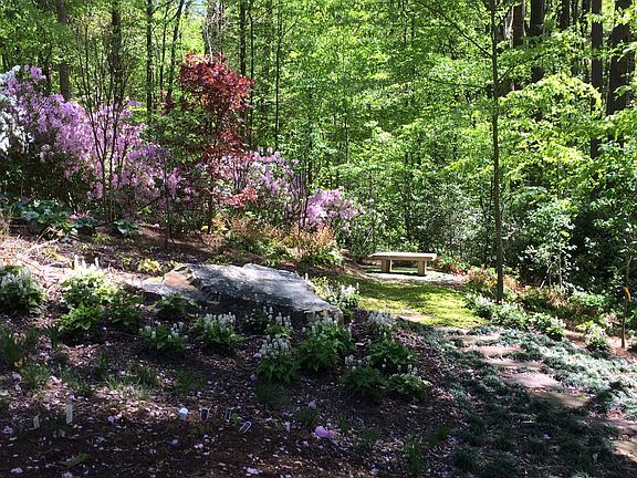 Trails & Beauty all around!