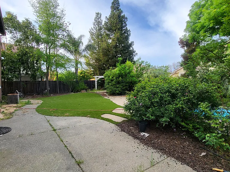 Backyard2