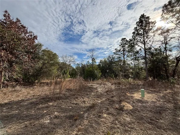 6505 N Varsity Ave #12, Dunnellon, FL 34434