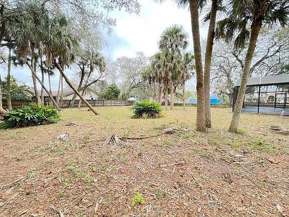 back yard