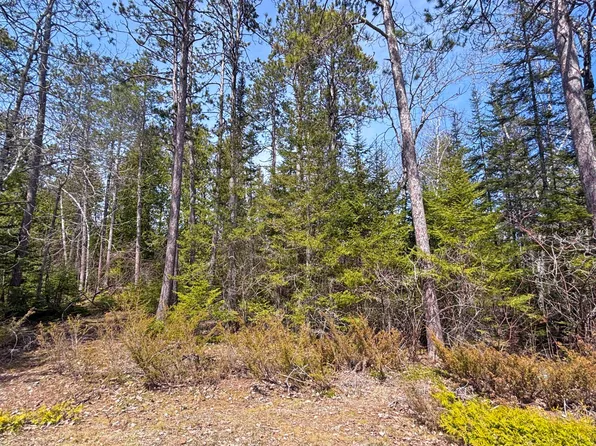 47 Fire Haven Ct, Presque Isle, MI 49777