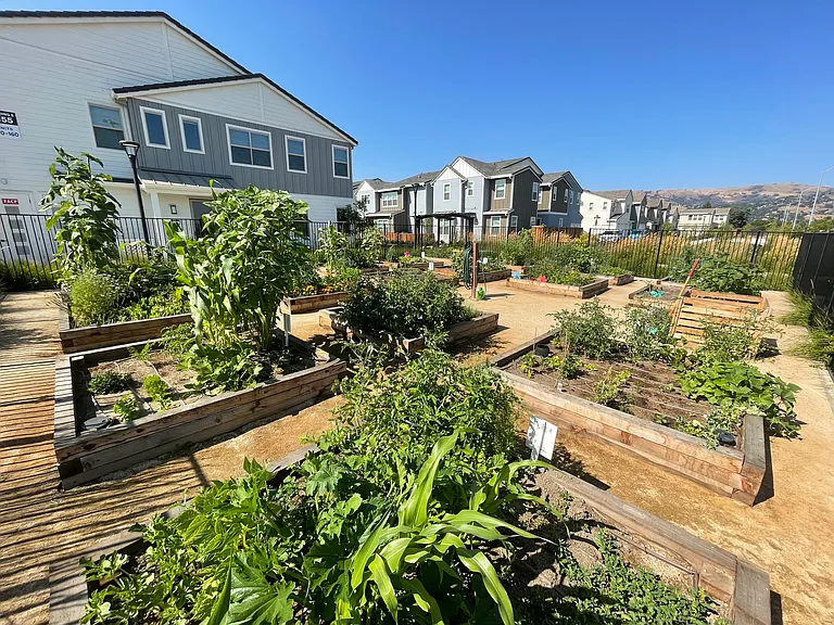 Community Garden