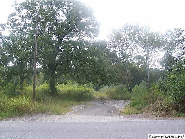 2nd image of Thompson Rd
