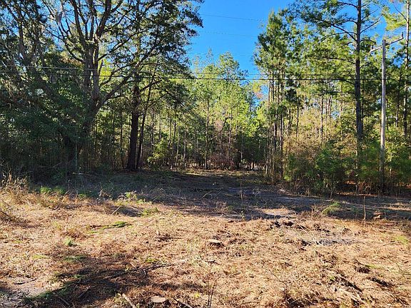4th image of 16653 Blountstown Hwy
