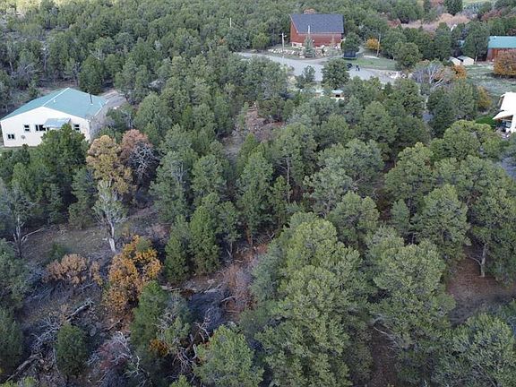 5th image of 24888 Timothy Road