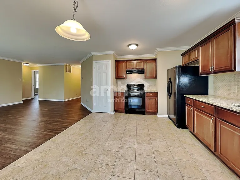 4120 Salem Springs Ct — Photo 3