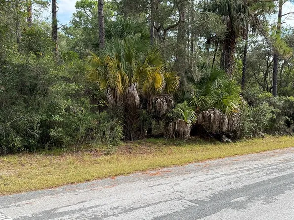 8941 N STAR BLAZE DRIVE LOT 9, CRYSTAL RIVER, FL 34428