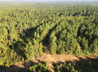 Hines Gin Loop, Selmer, TN 38375