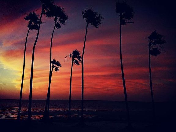 Sunrise 