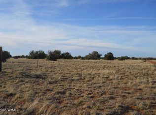 19 County Rd, Concho, AZ 85924