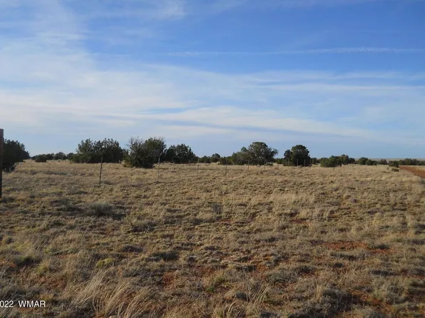 19 County Rd, Concho, AZ 85924