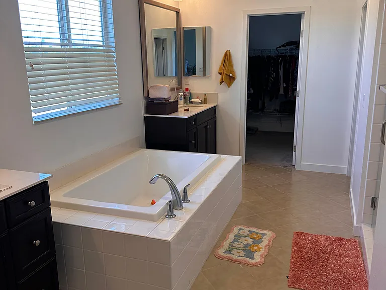 Master bedroom bathtub