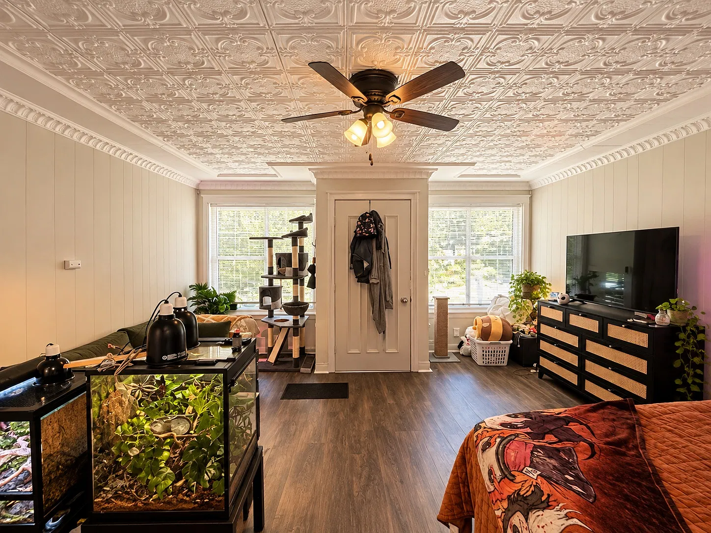 Studio, 385 sqft, $975 — Photo 3