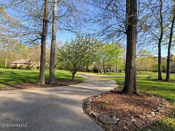 4th image of 204 Magnolia Spgs