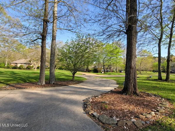 204 Magnolia Spgs, Florence, MS 39073