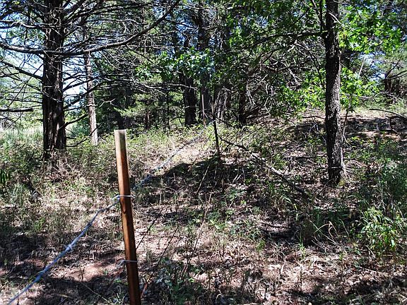 5th image of Kelley Avenue & County Rd #66