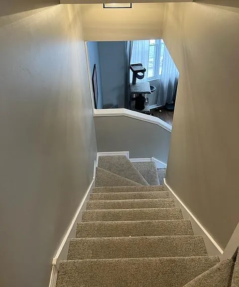 916 N Elizabeth St — Photo 8