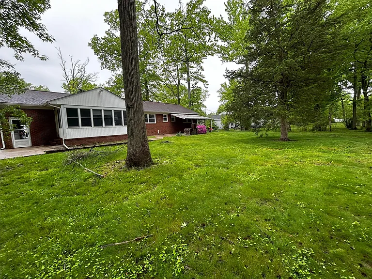 backyard view of back of house
