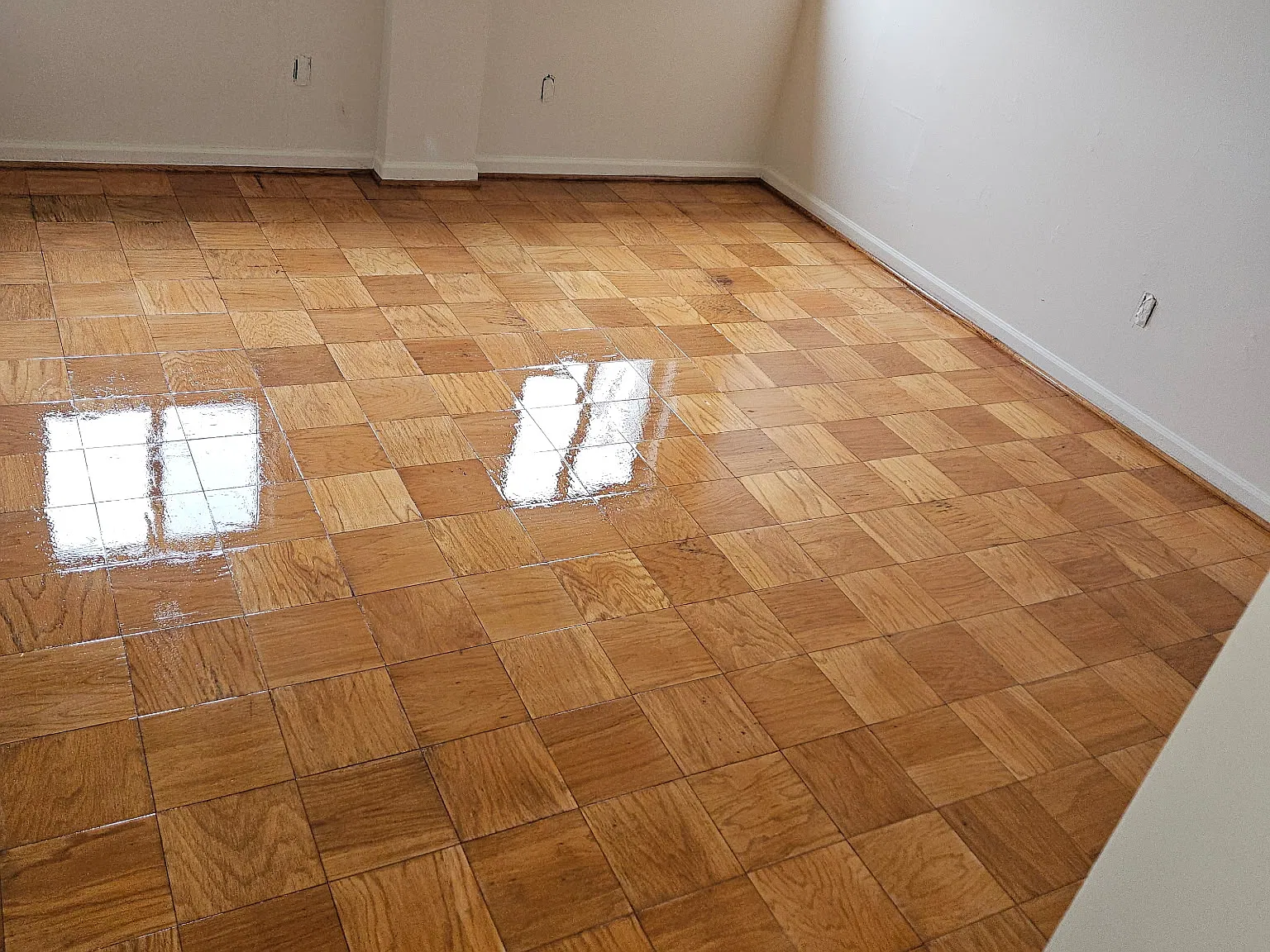 1 bed, 900 sqft, $1,850 — Photo 2