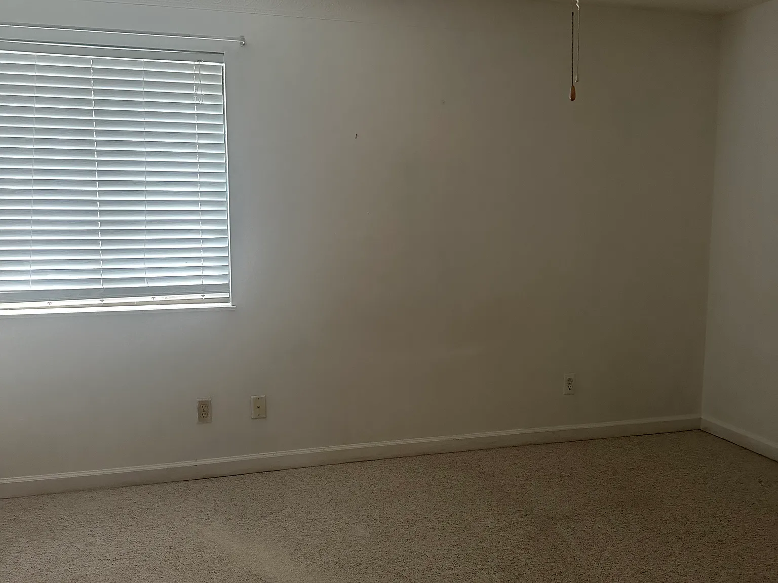 2 bed, 1.5 bath, 1100 sqft, $1,600 — Photo 4