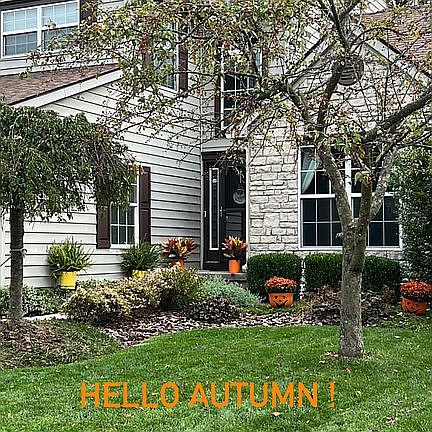 In the Autumn months