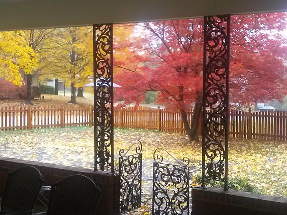 looking out the living room 