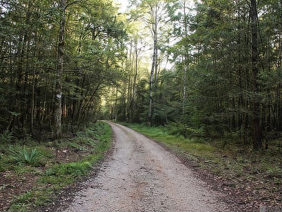 2nd image of 19425 Grantham Rd